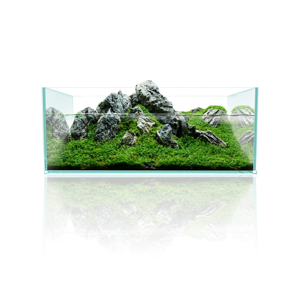 6.4Gal Shallow Rimless Aquarium Ultra-White Glass W5179