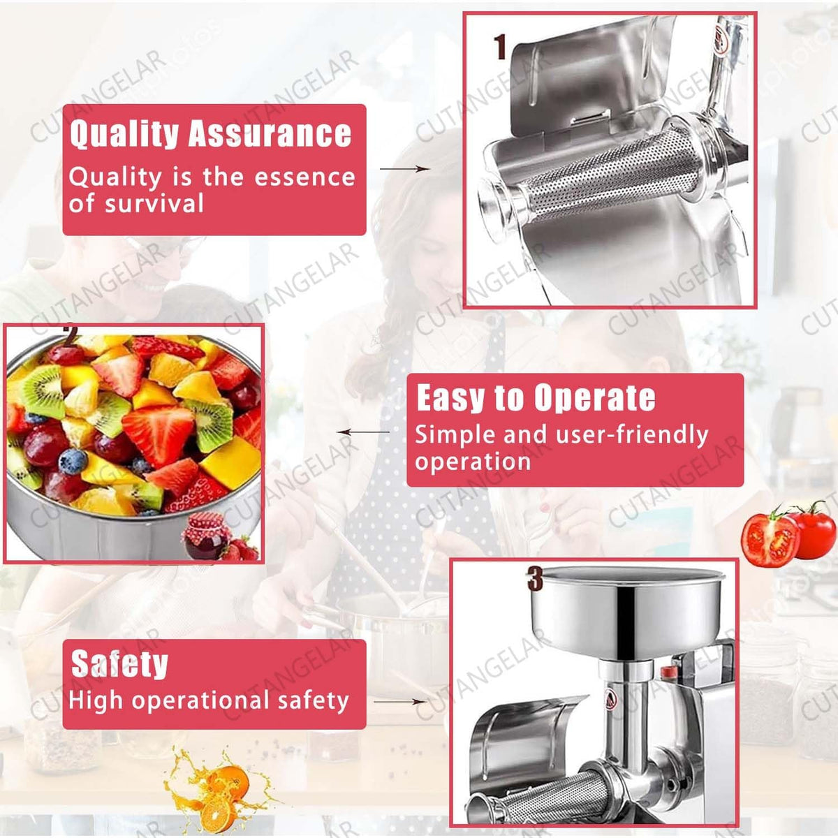450W Stainless Steel Food Juicer I52774