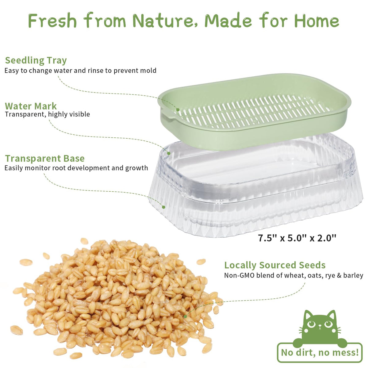 Cat Grass Growing Kit with 5 Pack Non GMO Seeds G91087