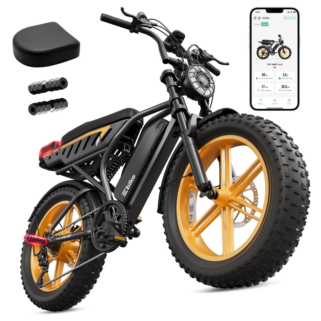 48V 2000W Peak Motor 20 * 4.0 Fat Tire Electric Bike U894