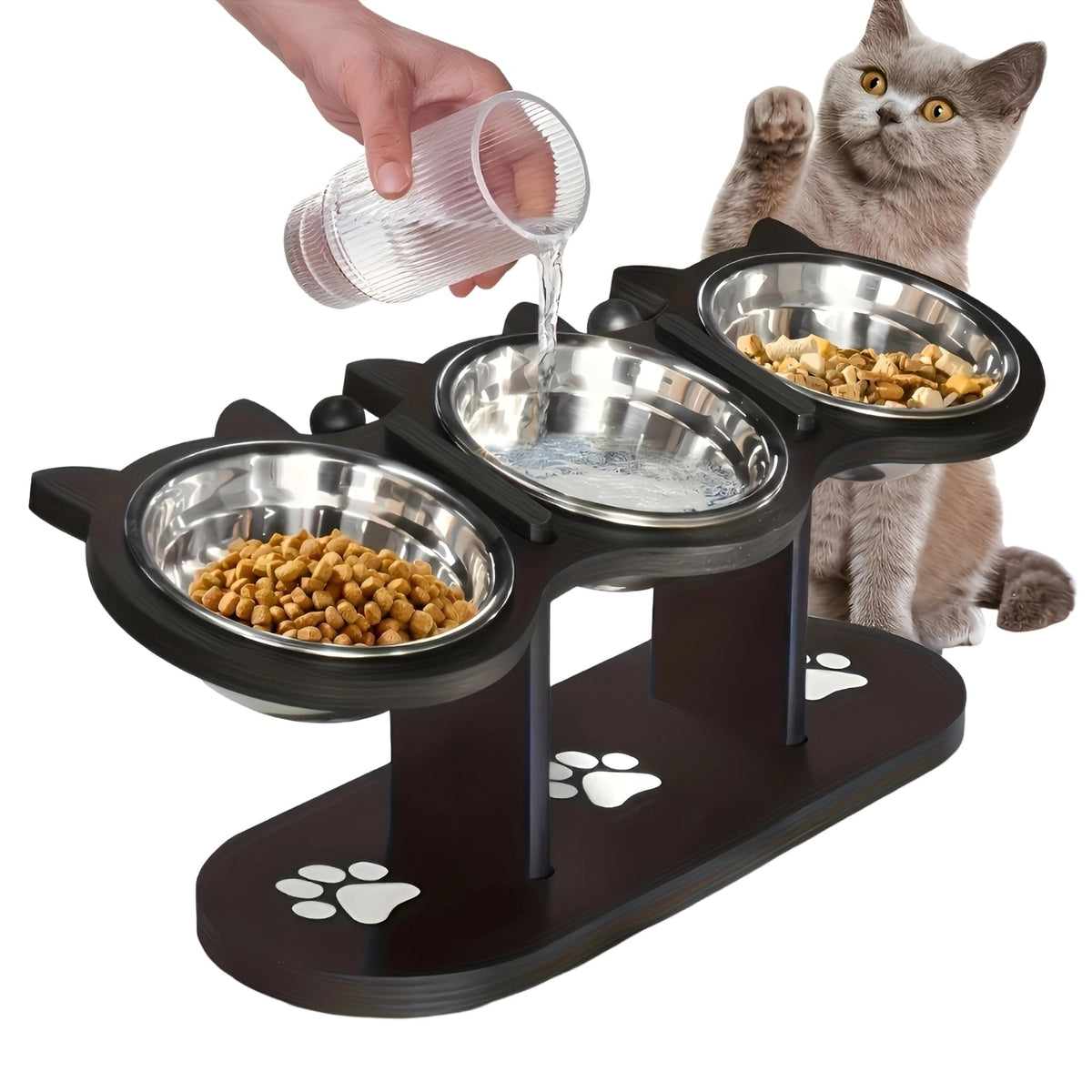 Raised Cat Bowls with 3 Stainless Steel Bowls R49295