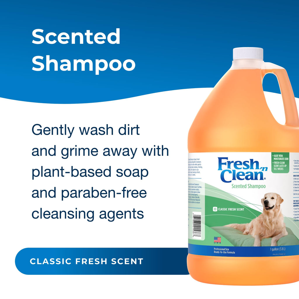 Scented Shampoo with Vitamin E & Aloe Vera P9667
