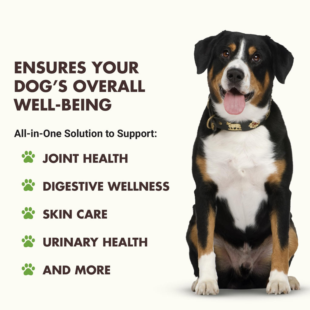 10-in-1 Dog Support 32 oz Unflavored R9951
