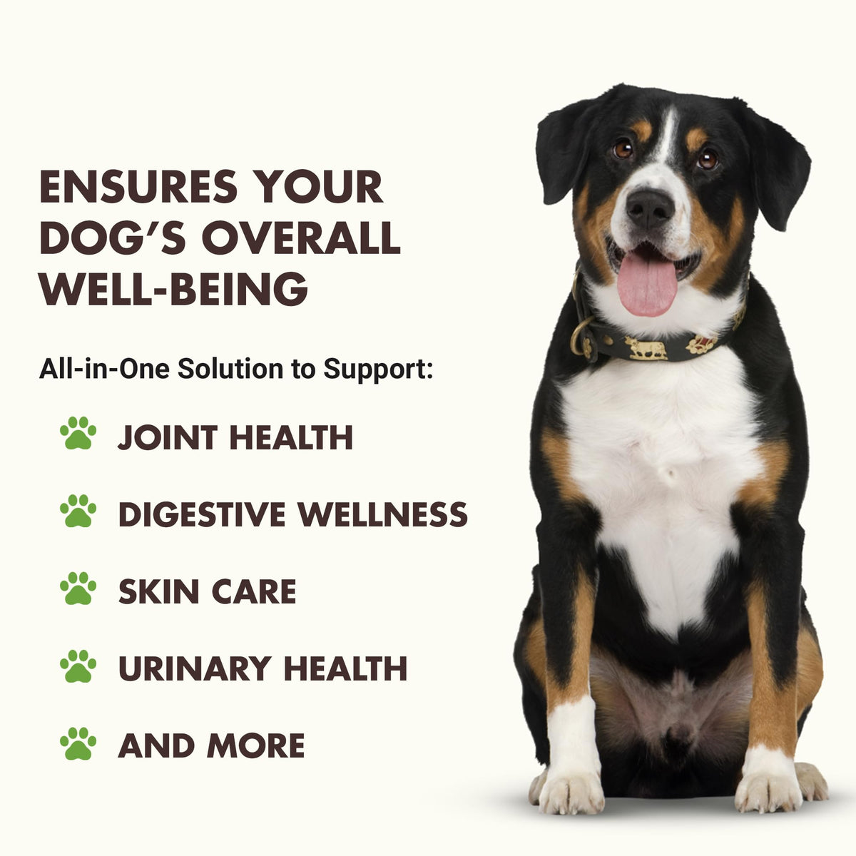 10-in-1 Dog Support 32 oz Unflavored R9951