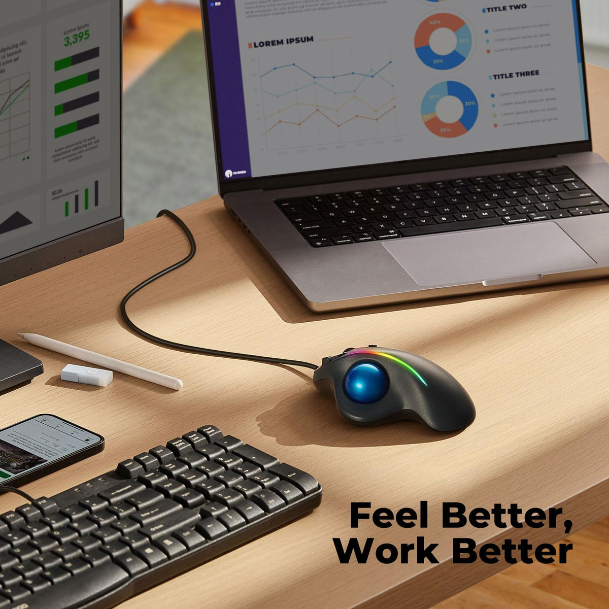 Ergonomic Trackball Mouse H3330