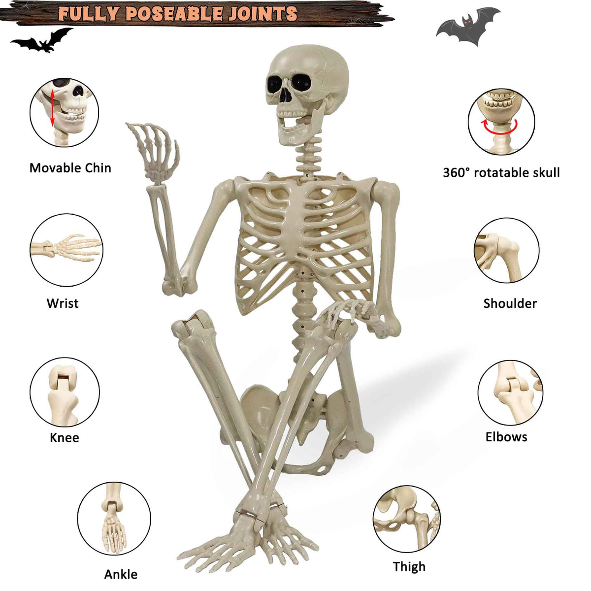 5.4ft Posable Life Size Skeleton with Movable Joints T491