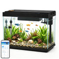 5 Gallon Aquarium Kit Ultra-White Glass G59713