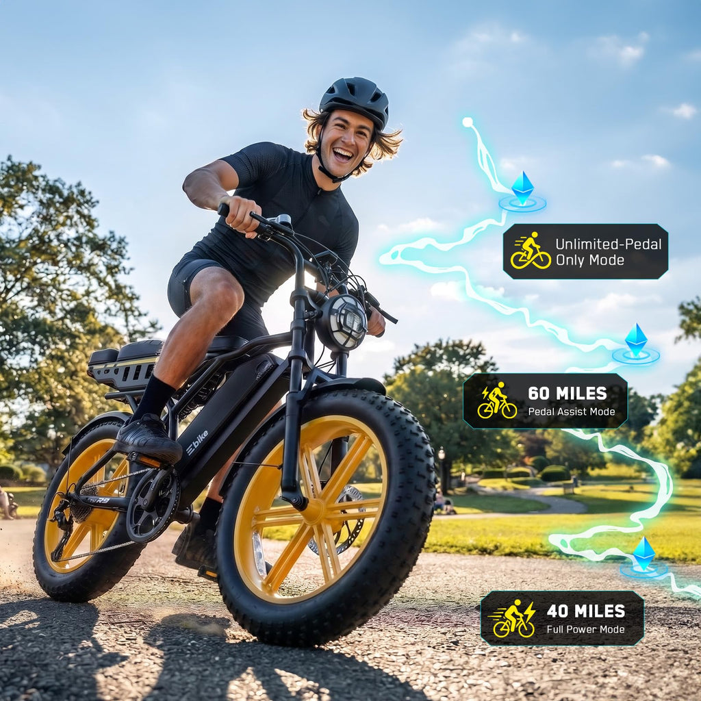 48V 2000W Peak Motor 20 * 4.0 Fat Tire Electric Bike U894