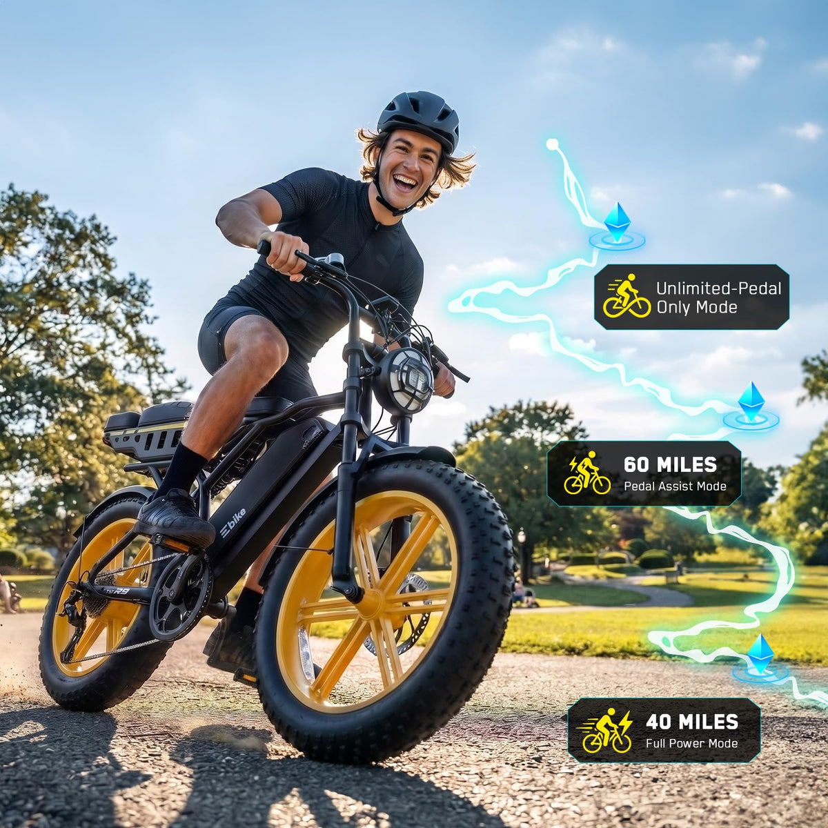 48V 2000W Peak Motor 20 * 4.0 Fat Tire Electric Bike U894