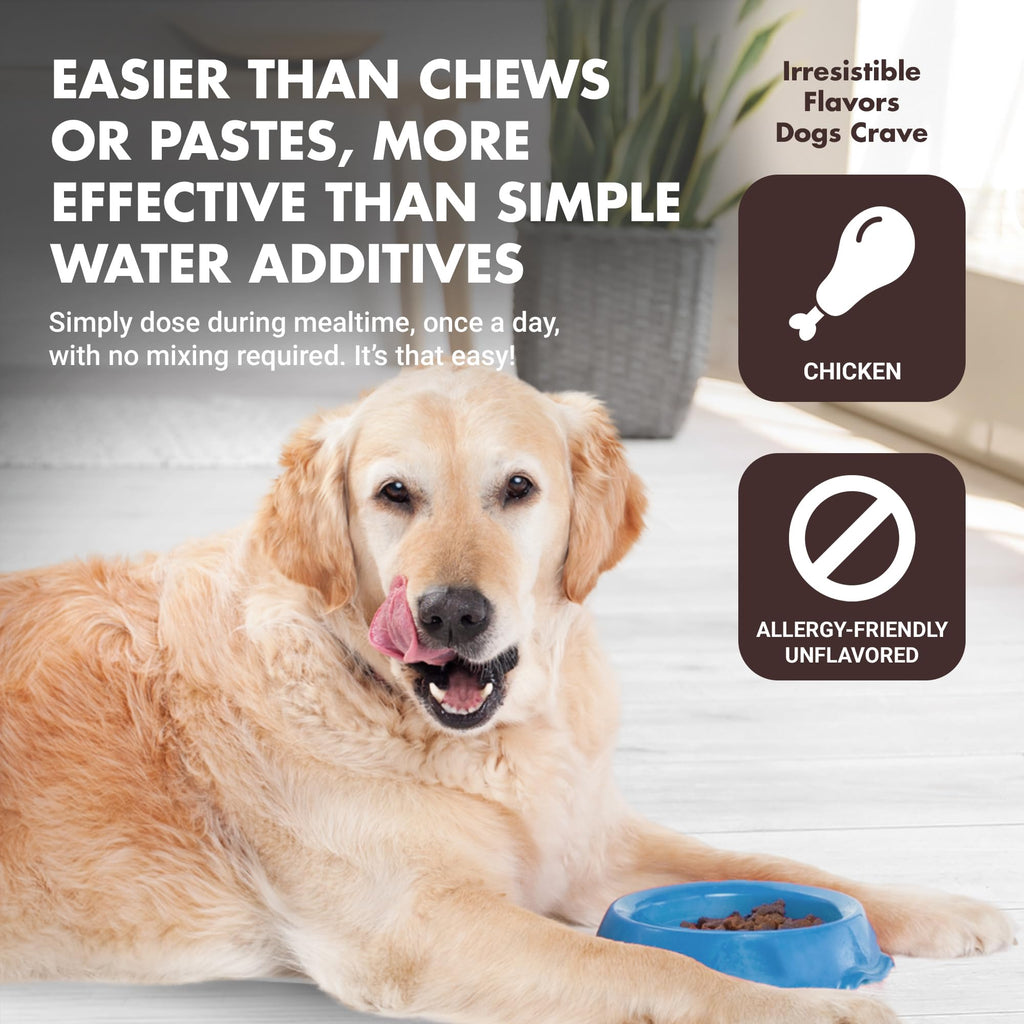 10-in-1 Dog Support 32 oz Unflavored R9951
