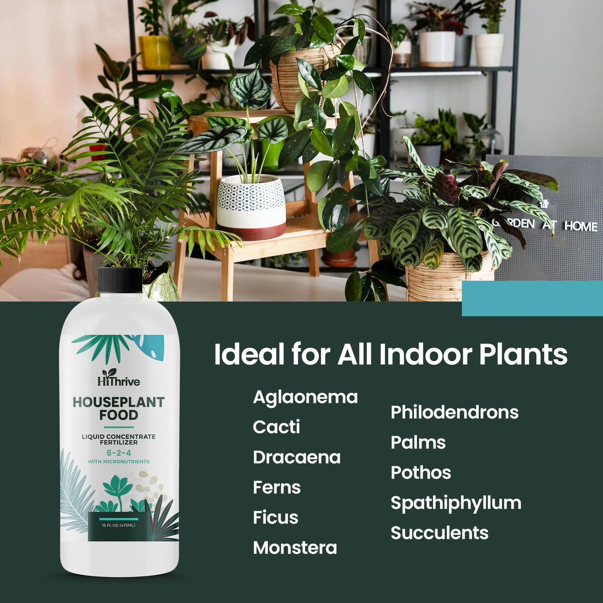 16oz All Purpose Concentrated Indoor Plant Fertilizer 6-2-4 NPK Q62639